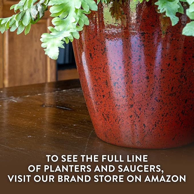 Classic Home and Garden Premiere Collection Planter, Vogue 8", Northern Lights