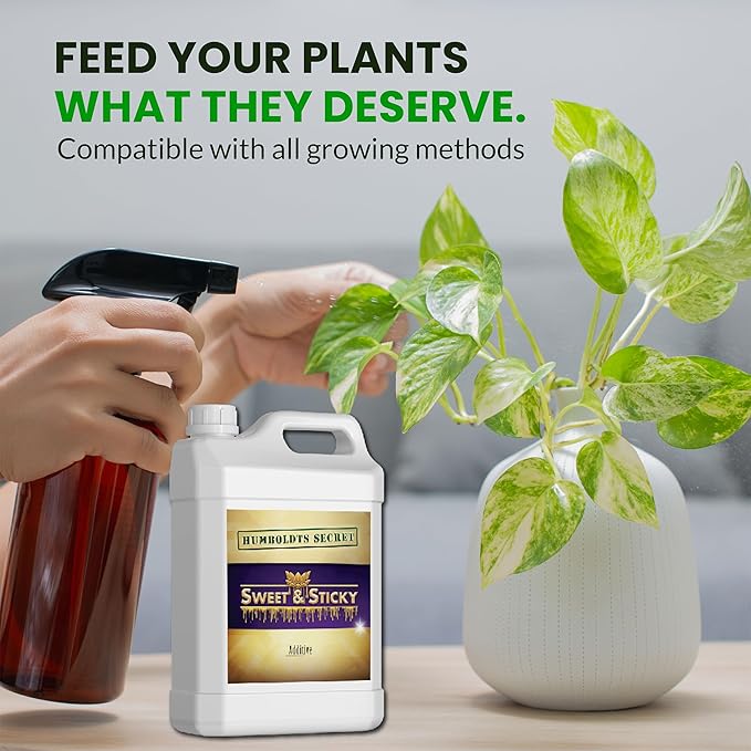 Humboldts Secret Sweet & Sticky Carbohydrate and Saccharide Plant Energy Additive | Indoor and Outdoor Plant Nutrients Enhancer for Growth and Aroma | Boosts Flavor and Development | 32 Ounce