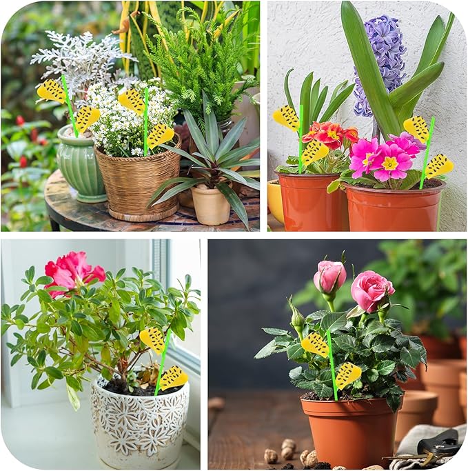 Fruit Fly Traps, 60 Pack Yellow Stick Traps, Fungus Gnat Traps, Plant Fly Stickers for Indoor and Outdoor Use Protect The Plant