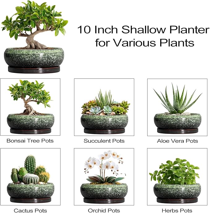 EPFamily Bonsai Pots 10 Inch - Ceramic Pots for Plants Indoor Outdoor, Succulent Pot with Drainage Hole and Saucer, Large Bonsai Planter, Round Shallow Planter, Office Decor, Gardening Gift, Green