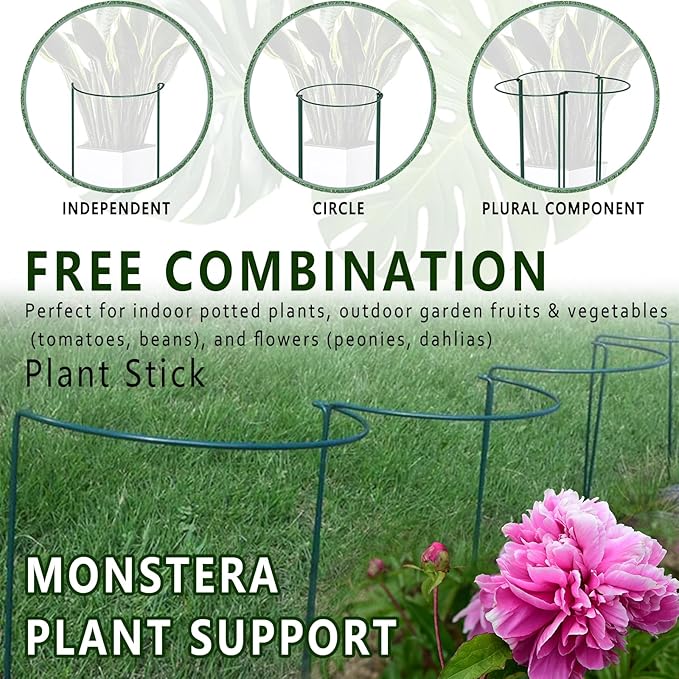 Soupiar 6 Pack Detachable & Assemblable Metal Plant Support Stakes - Garden Support Ring, Tomato Seedling Cage, Young Monstera/Pothos for Growing Indoor/Outdoor (10" W x 16" H)