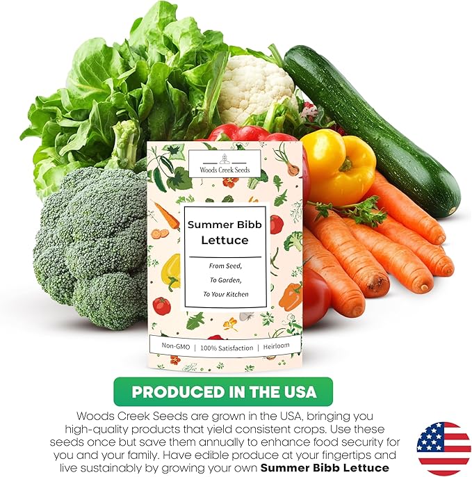 Summer Bibb Heirloom Lettuce Seeds for Planting - Over 2,700 Non-GMO Seed Pack for Growing Indoors, Outdoors, or as Hydroponic Seeds - Beginner-Friendly Green Leaf Lettuce Seed | Woods Creek Seeds