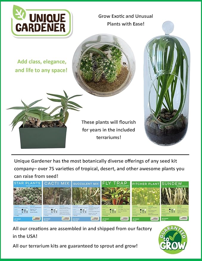 Unique Gardener Sedum Succulent Carefree Capsule Terrarium Kit - DIY Indoor Hanging or Standing Garden Starter Set with Complete Supplies, Easy to Grow Terrariums for Home Decor! (Stunning Sedum)