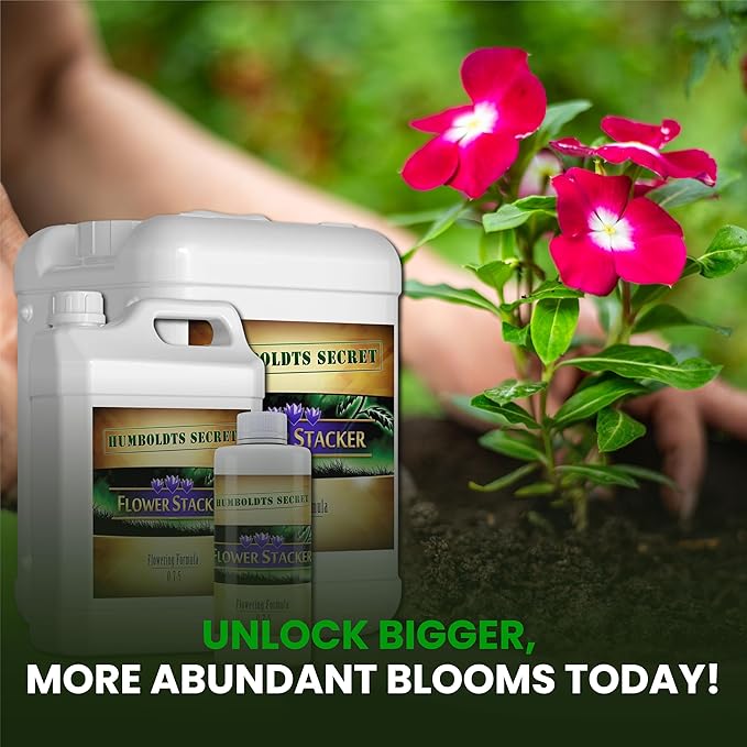 Humboldts Secret Flower Stacker | 0-7-5 Bloom Booster with Vitamin B1 | High Phosphorus Potassium Flowering Nutrients | Potting Soil Hydroponics Coco | Indoor & Outdoor Plants | 32 Ounce