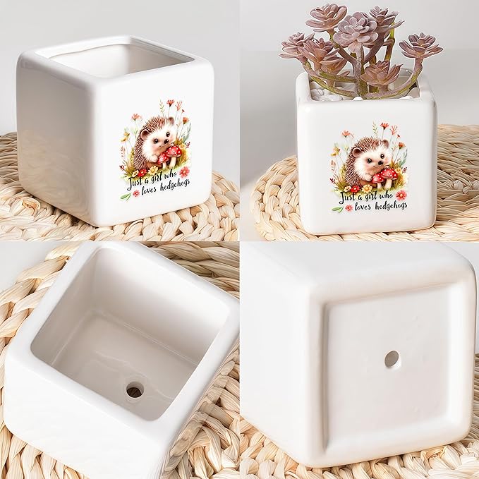 BJDAMAI Hedgehog Succulent Planter Flower Plant Pot Small, Gifts for Women Teens Girls Kids, Hedgehog Lovers Themed Stuff Accessories Things Decor Merch, Home Office Table Desk Decoration!