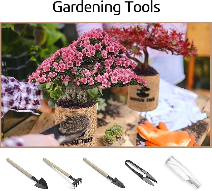 Sproutix Indoor Bonsai Garden Starter Kit, 5 Seeds Growing into Red Maple, Wisteria, Black Pine, Judas Tree, Acacia, Including Complete Gardening Planters & A Wooden Box, Christmas Gifts for Women