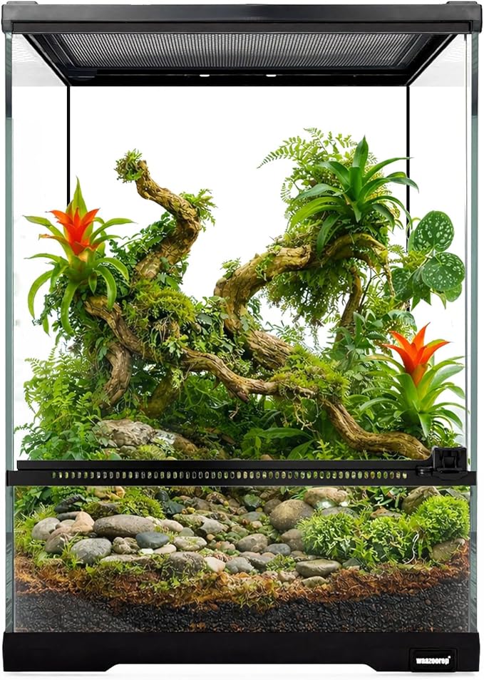 waazoorep Reptile Glass Terrarium Tank 10 * 10 * 14in, Full View with Front Opening Door,Amphibians Enclosure Habitat Cage for Crested Gecko,Spider,Tarantula,Lizard,Hermit Crab,Frog,Mantises,Insects