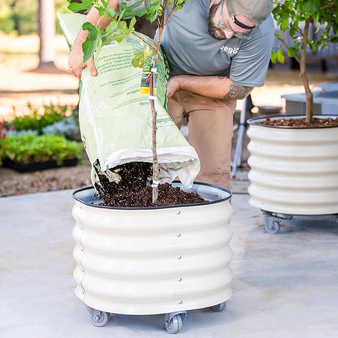 Rolling Metal Citrus Tree Planter Pot, 21″ Round Planter Box for Porch Patio & Backyard, 20 Gallon Large Planter Pot with Wheels for Growing Trees Tomatoes Vegetables and Flowers, 2 Pack Modern Gray