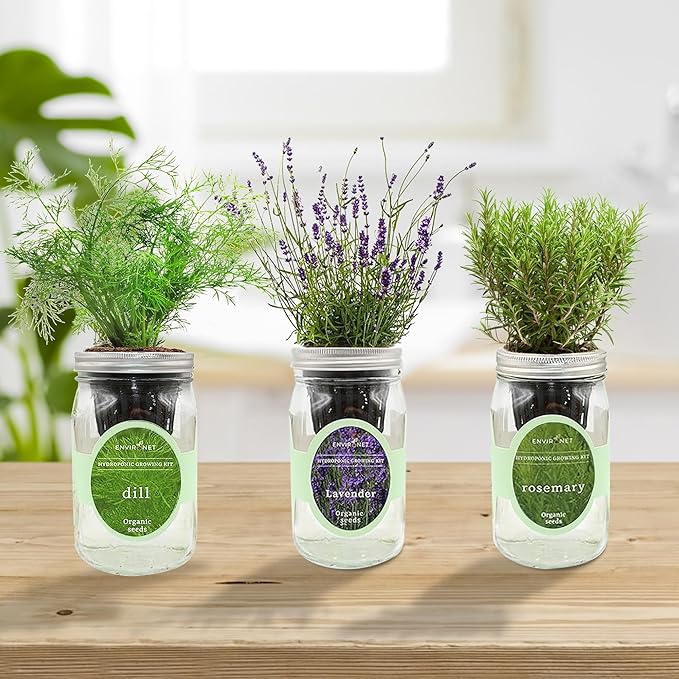 Environet Hydroponic Herb Growing Kit Set, Self-Watering Mason Jar Herb Garden Starter Kit Indoor, New Christmas Gift for Mom (Dill, Lavender & Rosemary)