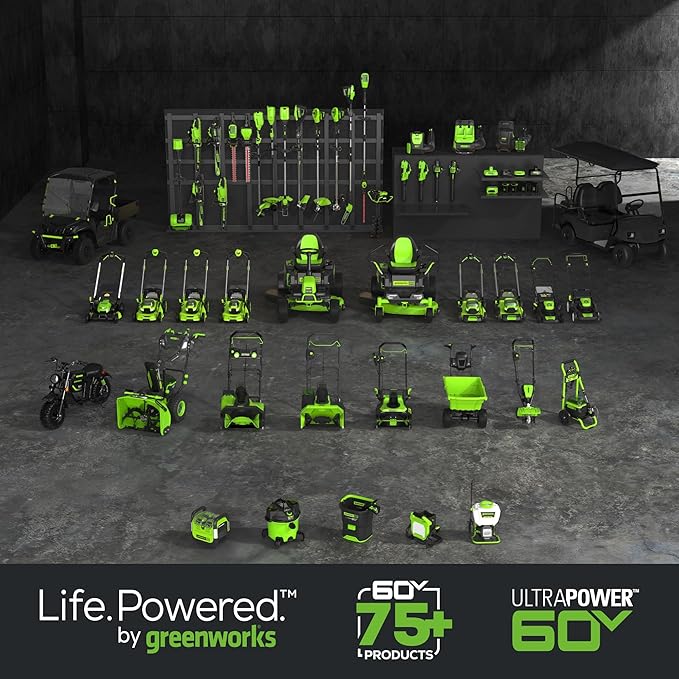 Greenworks 60V 450 CFM Cordless Leaf Blower, 2.0 Ah Battery and Rapid Charger