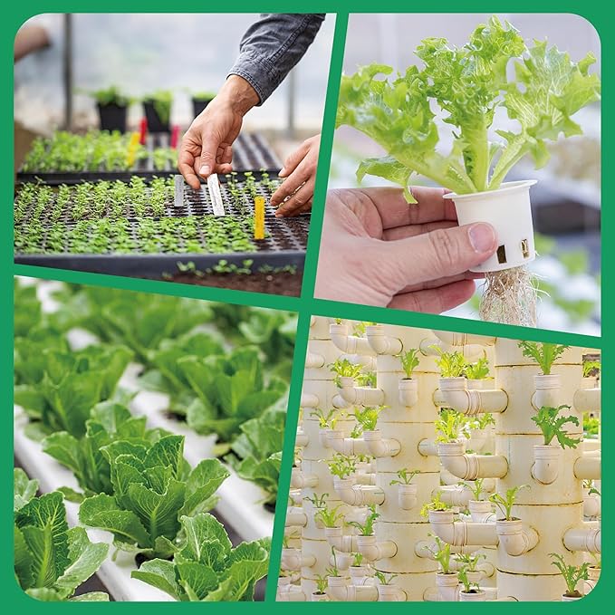 50 Pcs Square Hydroponics Pods, Seed Starter Plugs Rapid Rooter, Grow Sponges for Cactus, Succulent, Replacement Cubes for Seeds or Cuttings