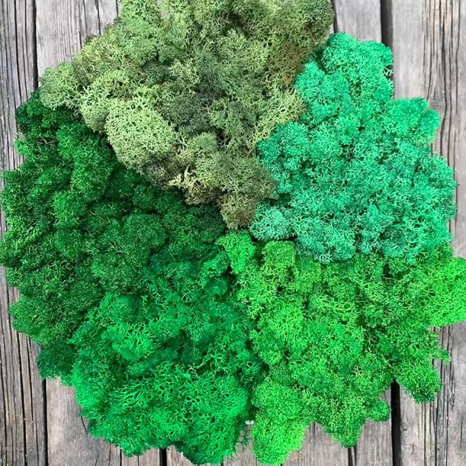 prefleur Preserved Reindeer Moss Natural Green DIY Kit Gardenning Art Wall Decor Florist Decor Easter Table Decor Wedding