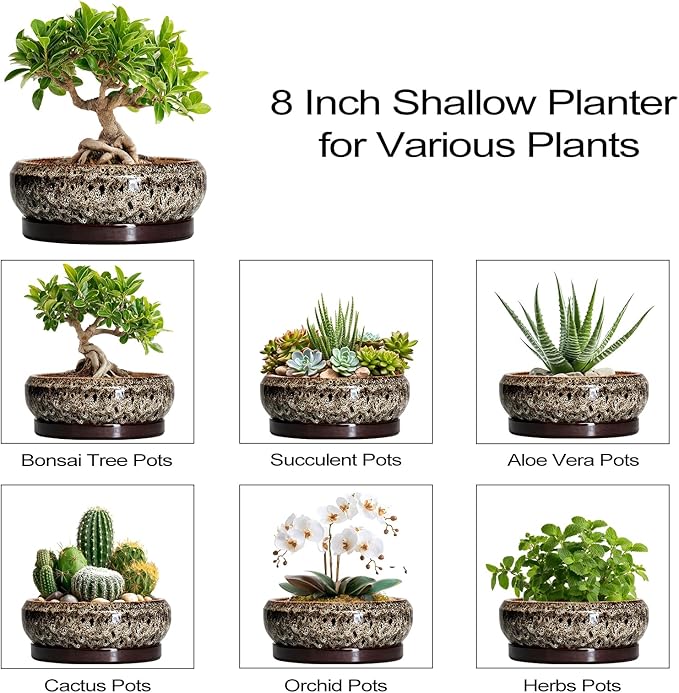 Bonsai Pots - 8 Inch Ceramic Pots for Plants with Drainage Hole and Saucer, Round Succulent Pot, Bonsai Planters Indoor Outdoor, Shallow Planter Bowl, Patio Decor, Gardening Gift, White