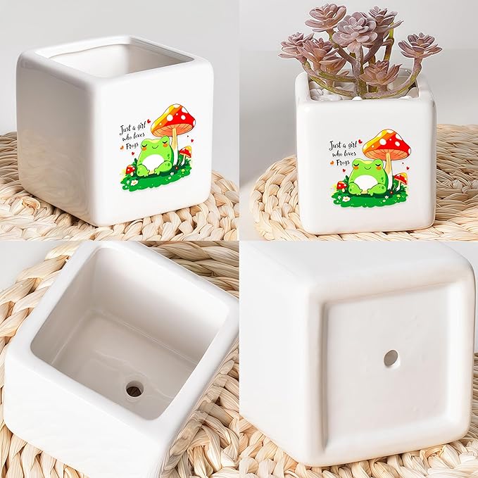 BJDAMAI Frog Succulent Planter Flower Plant Pot Small, Gifts for Women Teens Girls Kids, Frog Lovers Themed Stuff Accessories Things Decor Merch, Home Office Table Desk Decoration!