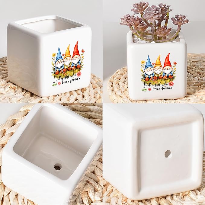 BJDAMAI Gnomes Succulent Planter Flower Plant Pot Small, Gifts for Women Teens Girls Kids, Gnomes Lovers Themed Stuff Accessories Things Decor Merch, Home Office Table Desk Decoration!
