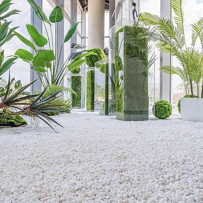 30 LB White Pebbles for Plants, 3/8 inch White Rocks for Vases Landscaping, Small Decorative Stones for Indoor Outdoor, Polished