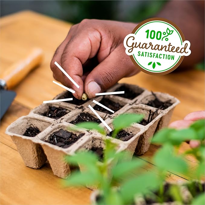 Back to The Roots Grow Kit Refill Pack