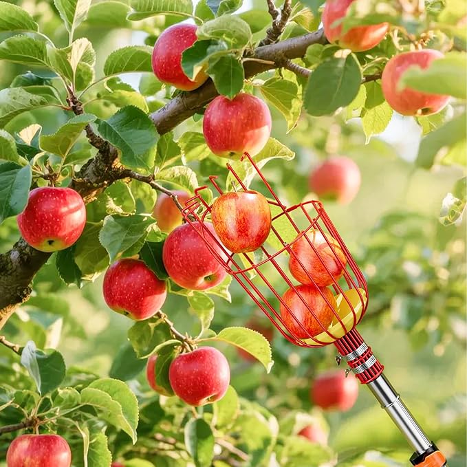 SPECILITE Fruit Picker, 5-20FT Adjustable Telescoping Pole with Basket, Aluminum Apple Picker Tool, Lightweight for Harvesting Orange, Mango, Avocado, Pear, Lemon, Garden Tree Fruit Catcher