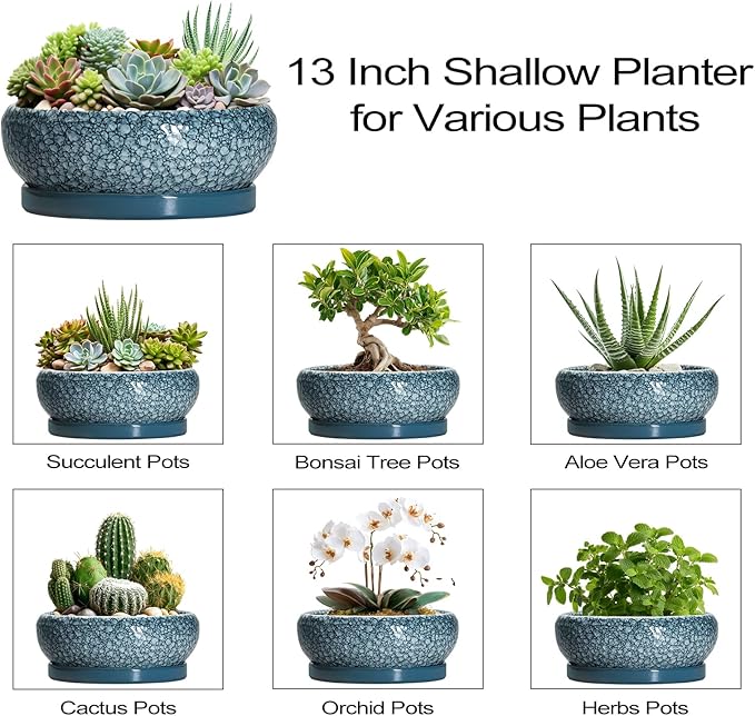 EPFamily Large Succulent Planters - 13 Inch Ceramic Bonsai Pots with Drainage Hole and Saucer, Shallow Plant Pots Indoor Outdoor, Large Planter Bowl, Round Planter, Garden Decor, Gardening Gift, Blue