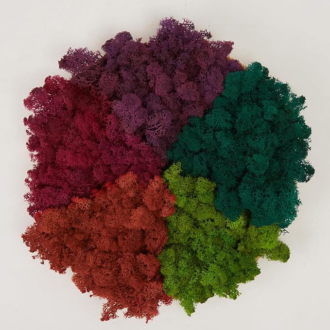 prefleur Preserved Reindeer Moss Natural Green DIY Kit Gardenning Art Wall Decor Florist Decor Easter Table Decor Wedding