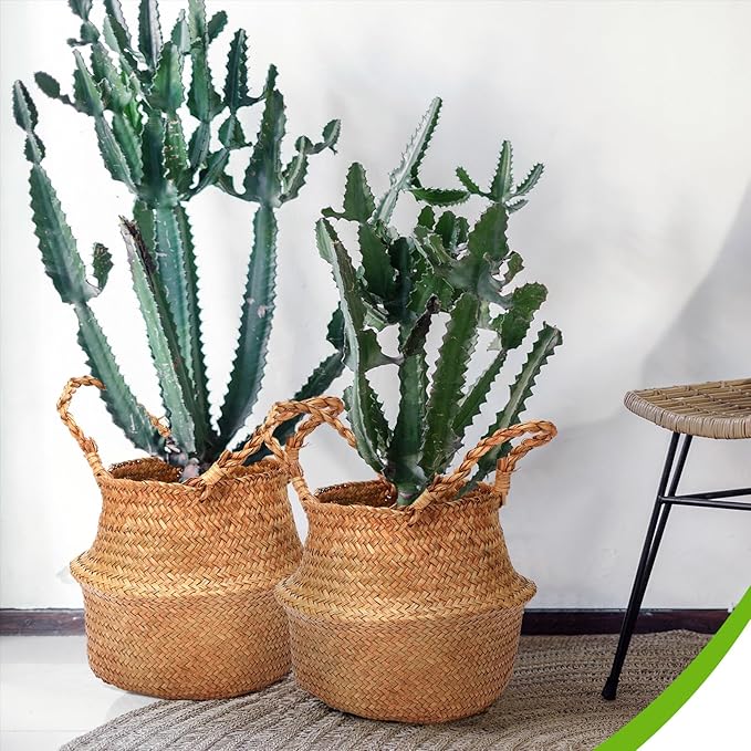 Qunclay 8 Pcs Woven Seagrass Baskets Belly Basket Folding Boho Natural Plant Pot with Handles Round Decorative Wicker Large Indoor Planter for Home Outdoor Tree Planters Decor (S,8.7''dx7.9''h)