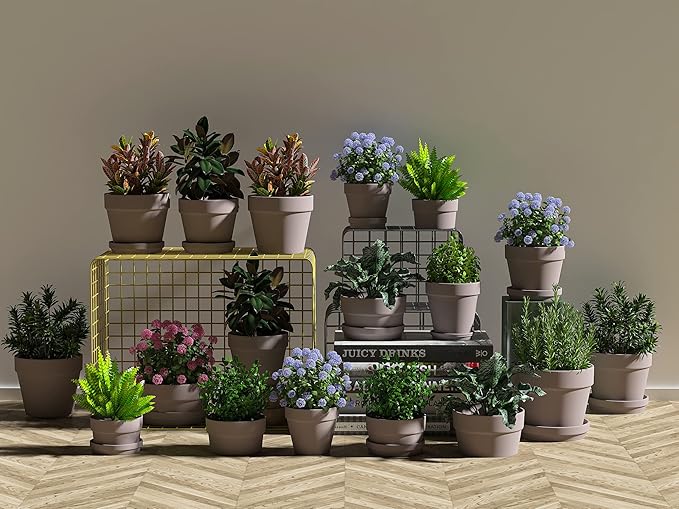 Fcacti 54 Pcs Small Mini Grey Clay Pots 2.1'' Terracotta Pot Clay Ceramic Pottery Planter Cactus Flower Pots Succulent Nursery Pots- Great for Window Boxes, Cactus, Plants, Crafts, Wedding Favors