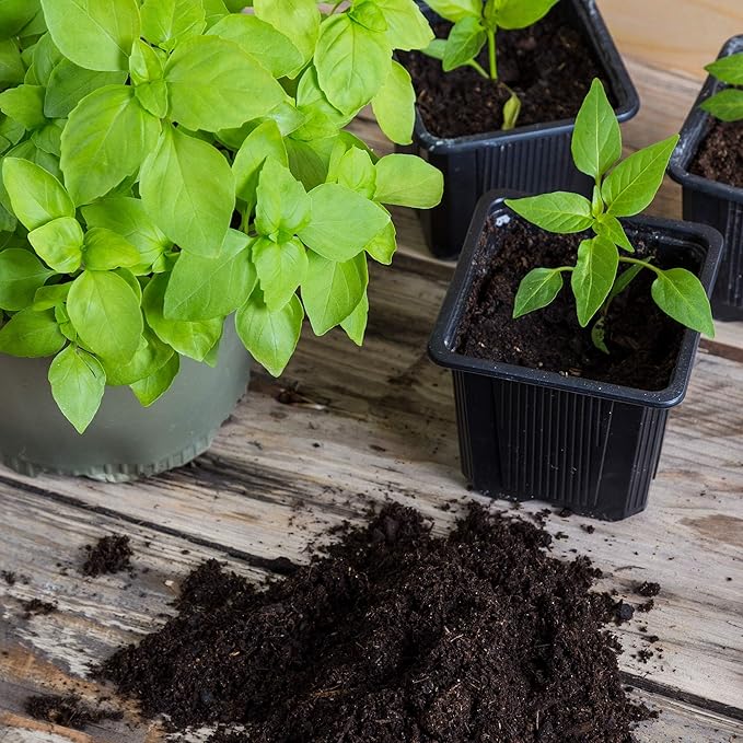 Minute Soil Compressed Coco Coir 6 Pack ā Organic Peat-Free Medium Expands to 9 Gal ā Indoor Gardening, Microgreens, Seed Starting, Houseplants, Herbs, Vegetables, Planters