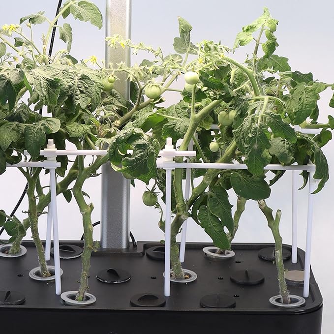 Indoor Hydroponic Growing Kit, Includes 36 Growing sponges, Plant Support Frame & Nutrient Solution Set. Features Replaceable Growing sponges and Seed pods, Compatible with All Brands.