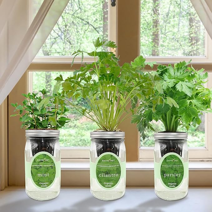 Environet Hydroponic Herb Growing Kit Set, Self-Watering Mason Jar Herb Garden Starter Kit Indoor, Windowsill Herbs Garden, Grow Your Own Herbs from Organic Seeds (Mint, Cilantro and Parsley)