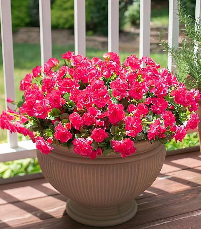 Ivydale Artificial Fake Camellia Flowers Plants for Outdoor Outside Spring Decoration, Faux Silk Hotpink Camellias UV Resistant Look Real for Planter Porch Patio Garden Yard, 3 Large Bundles