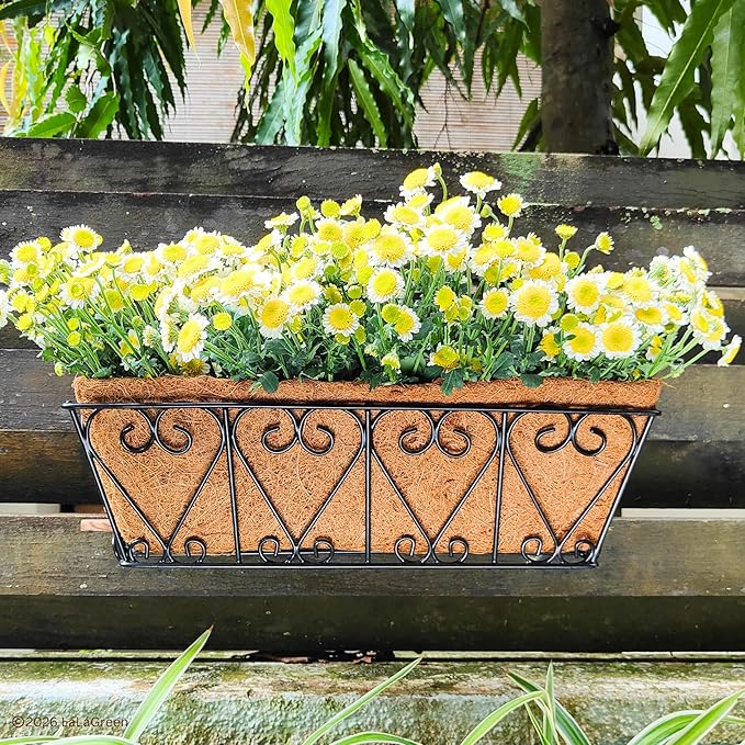 LaLaGreen 16" (2 Pack, Rectangular) Trough Coco Liners for Planter – Medium Coconut Coir Replacement for Window Box, Wall Mount Flower Pot, Outdoor Use– Also Available in 24/30’’ and Different Shapes