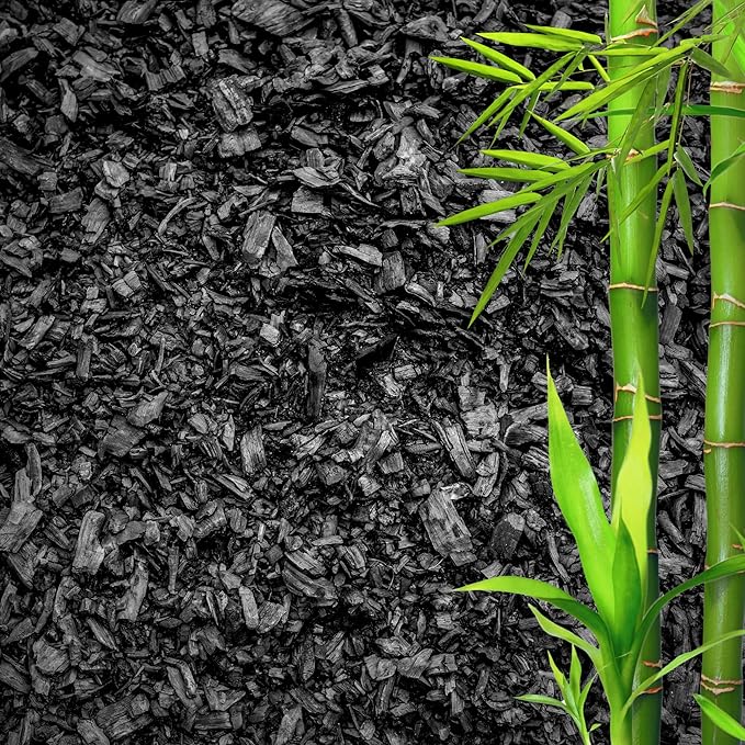 GARDENWISE Horticultural Charcoal for Plants ā Organic Bio Char Soil Amendment for Terrariums, Indoor Plants & Gardening, Made in USA (15 quarts)