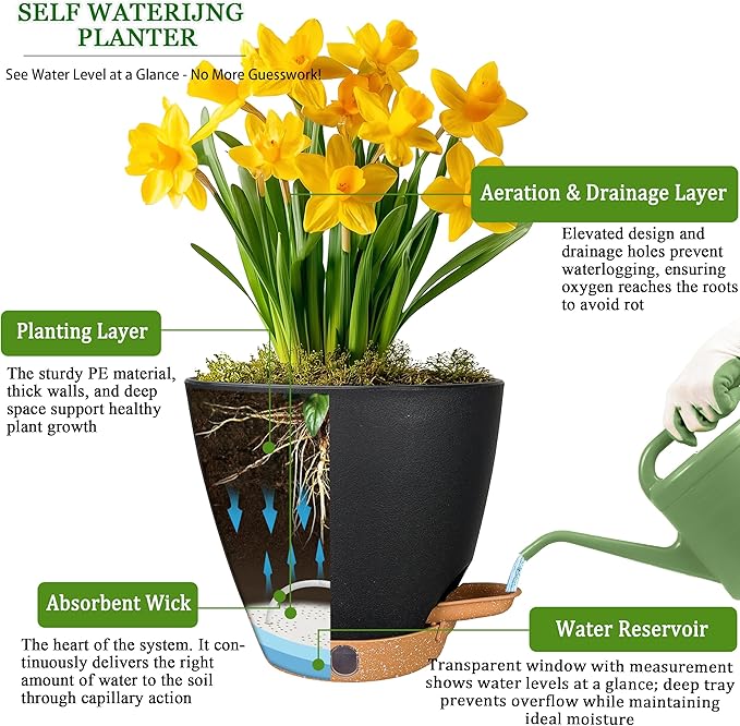 6 Inch Self Watering Pots for Indoor Plants (5-Pack) โ Small Plastic Planters with Water Window, Drainage Holes & Trays, Indoor Outdoor Flower Pots for Herbs, Succulents, Home Garden Decor (Black)