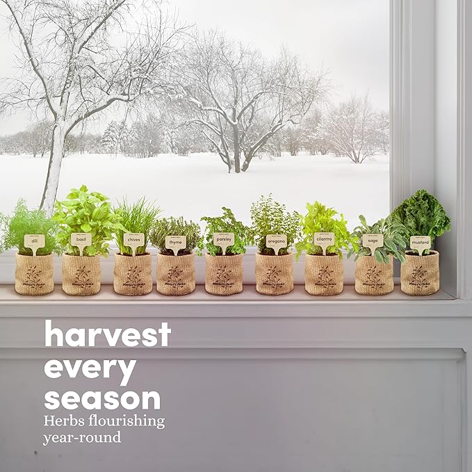 Planters' Choice 9 Herb Indoor Window Garden Kit - House Plants Seeds - Best Unique Christmas Gift Ideas for Women, Mom, Friend, Her, Birthday, Housewarming, Mother - New Home Kitchen Gifts