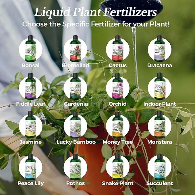Professional Liquid Succulent Plant Fertilizer | 3-1-2 Concentrate for Plants and Flowers | Multi-Purpose Blend & Gardening Supplies | 8 oz Bottle