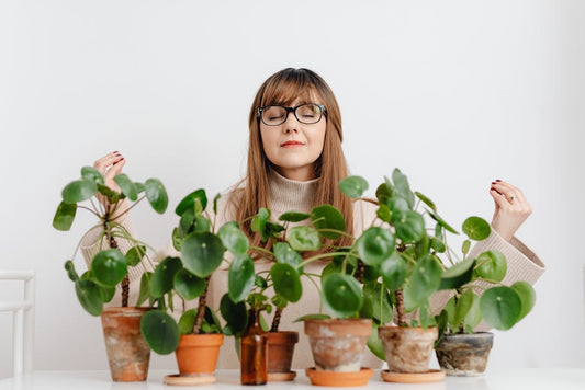 Woman practicing meditation surrounded by lush green indoor plants on a white background.