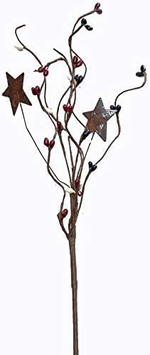 Americana Pip Berry Picks with Rusty Stars - 4 Pc Set | 12 inch (4 Pc Country Mix)