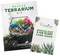 Creations by Nathalie – Premium Small DIY Terrarium Kit for Succulents, Cacti & Air Plants, Includes Soil, Moss, Pebbles, Tools, Amethyst Gem & Crystal Chips – Handmade in USA