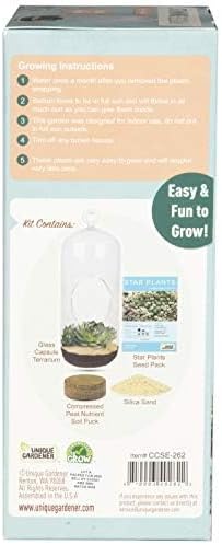 Unique Gardener Sedum Succulent Carefree Capsule Terrarium Kit - DIY Indoor Hanging or Standing Garden Starter Set with Complete Supplies, Easy to Grow Terrariums for Home Decor! (Stunning Sedum)