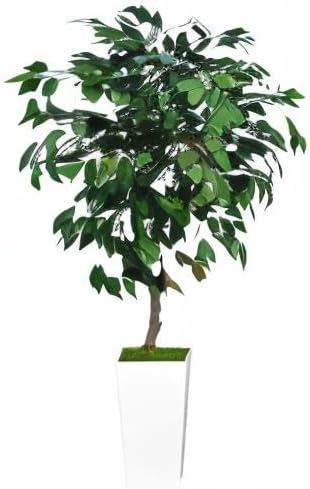 ASTIDY Artificial Ficus Tree 5FT - Faux Indoor Tree with White Tall Planter - Fake Ficus Floor Plant Potted - Artificial Silk Tree for Home Office Living Room Decor Indoor