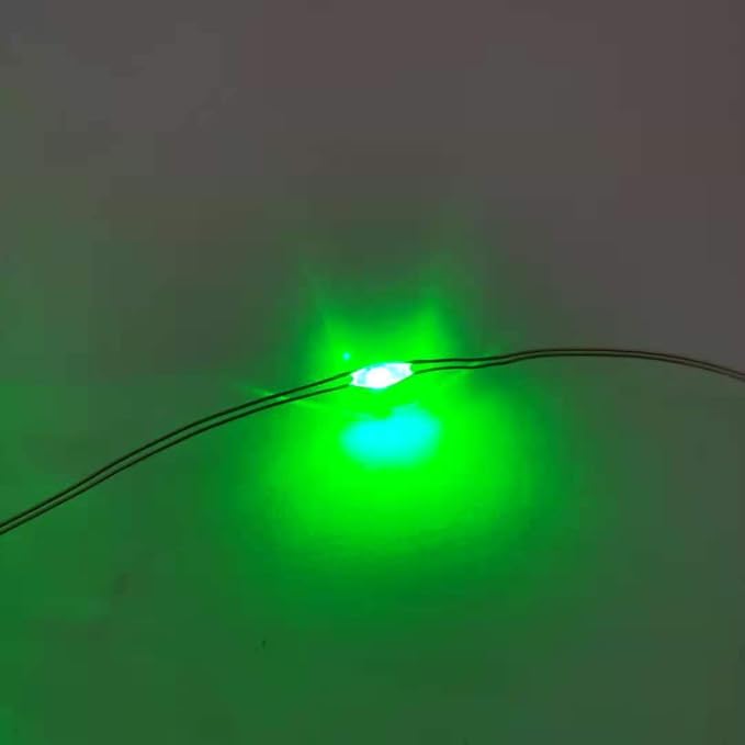 2 Pack Battery Operated Mini Led Fairy Light with Timer 6 Hours on/18 Hours Off for Christmas Decoration,30LED,10 Feet Silver Wire (Green Color)
