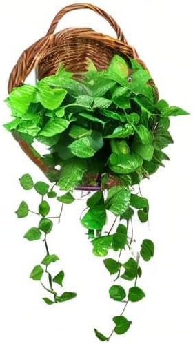 Foraineam Handmade Woven Hanging Basket, Natural Wicker Storage Basket Wall Hanging Flower Pot, Rattan Hanging Planter Container for Home Garden Wedding Wall Decorations