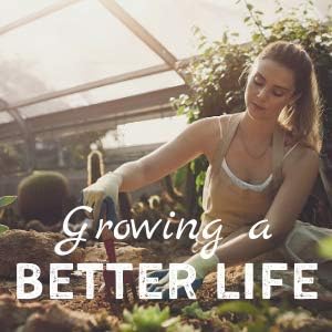Minute Soil Plus Grow Cube - Amended Coco Coir Potting Soil - 1 Gallon Plastic Grow Bag - 5 Cubes - Self Contained Expanding Coconut Coir Grow Planter - Feeds Plants for an Entire Season