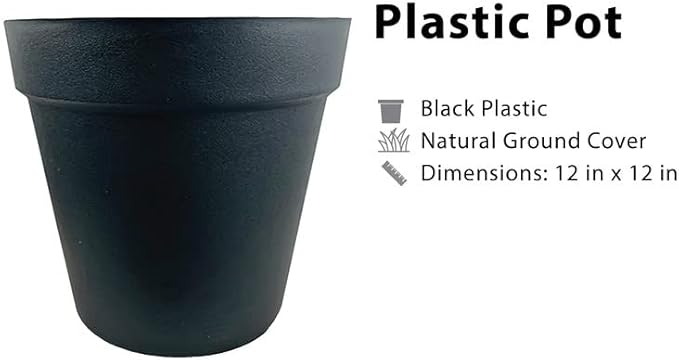 LCG Florals 10ft Artificial Ficus Tree in Black Plastic Pot - Real Wood Trunk, Preassembled, No Maintenance Indoor Faux Plant - Living Room, Home & Office Decor