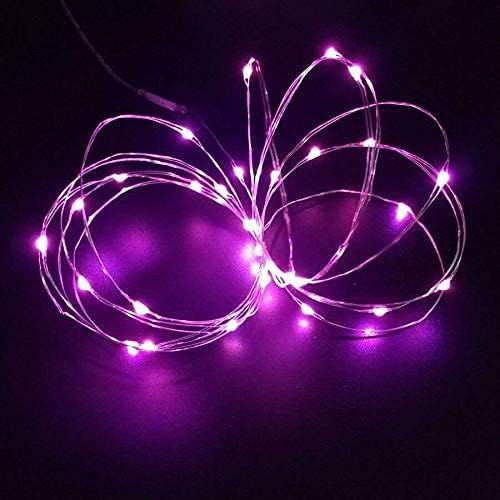 Everfit Lighting 2 Pack Battery Operated Mini Led Lights,Indoor Fairy Lights with Timer 6 Hours on/18 Hours Off for Christmas Party Decorations,30 Count LEDs,10 Feet Silver Wire (Purple Color)