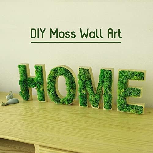 prefleur Preserved Reindeer Moss Natural Green DIY Kit Gardenning Art Wall Decor Florist Decor Easter Table Decor Wedding