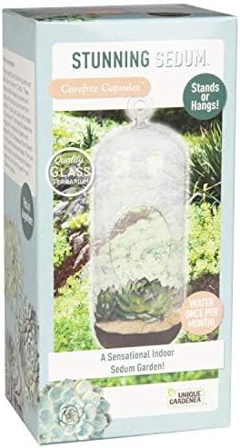 Unique Gardener Sedum Succulent Carefree Capsule Terrarium Kit - DIY Indoor Hanging or Standing Garden Starter Set with Complete Supplies, Easy to Grow Terrariums for Home Decor! (Stunning Sedum)
