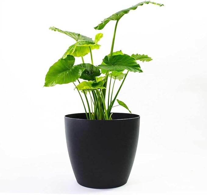 Greenline Manufacturing Memphis 15" Round Indoor Floor Planter Pot – Lightweight & Durable Plastic, Modern Design, Made in USA, Recyclable Large Plant Container for Home & Office Décor (Black)