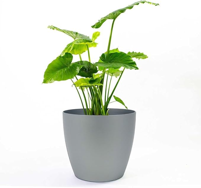 Greenline Manufacturing Memphis 15" Round Indoor Floor Planter Pot – Lightweight & Durable Plastic, Modern Design, Made in USA, Recyclable Large Plant Container for Home & Office Décor (Silver)