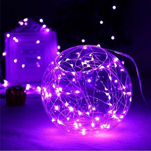 RUICHEN Silver Wire 33 Ft 100 LED USB Fairy String Lights with On/Off Switch (Purple)